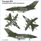 221600301 ETH Arsenal PANAVIA TORNADO IDS - Reconnaissance Wing 51 Immelmann (AG-51) of German Luftwaffe
